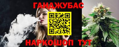 дмт Шахты