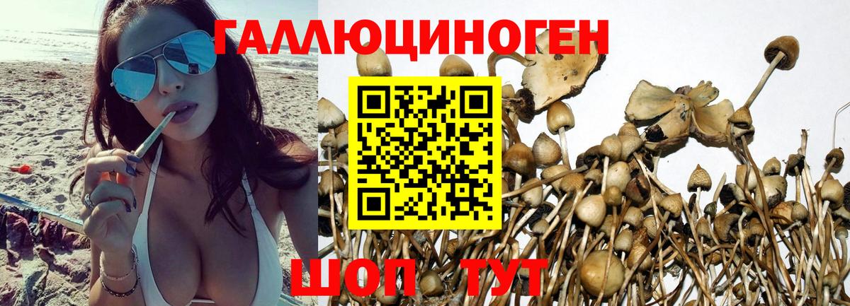 Галлюциногенные грибы мухоморы Аша