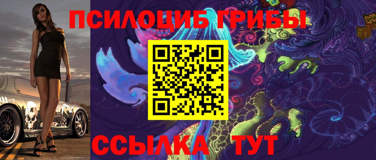 Аша  Псилоцибиновые грибы Cubensis  Вход с VPN 